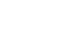 Fly Fish